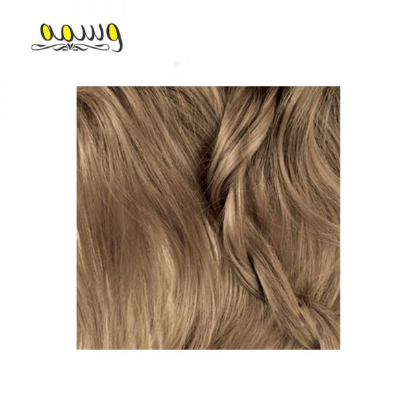 Beol Walnut Blonde Dark Hair Color No. 6.9 Volume 100 ml